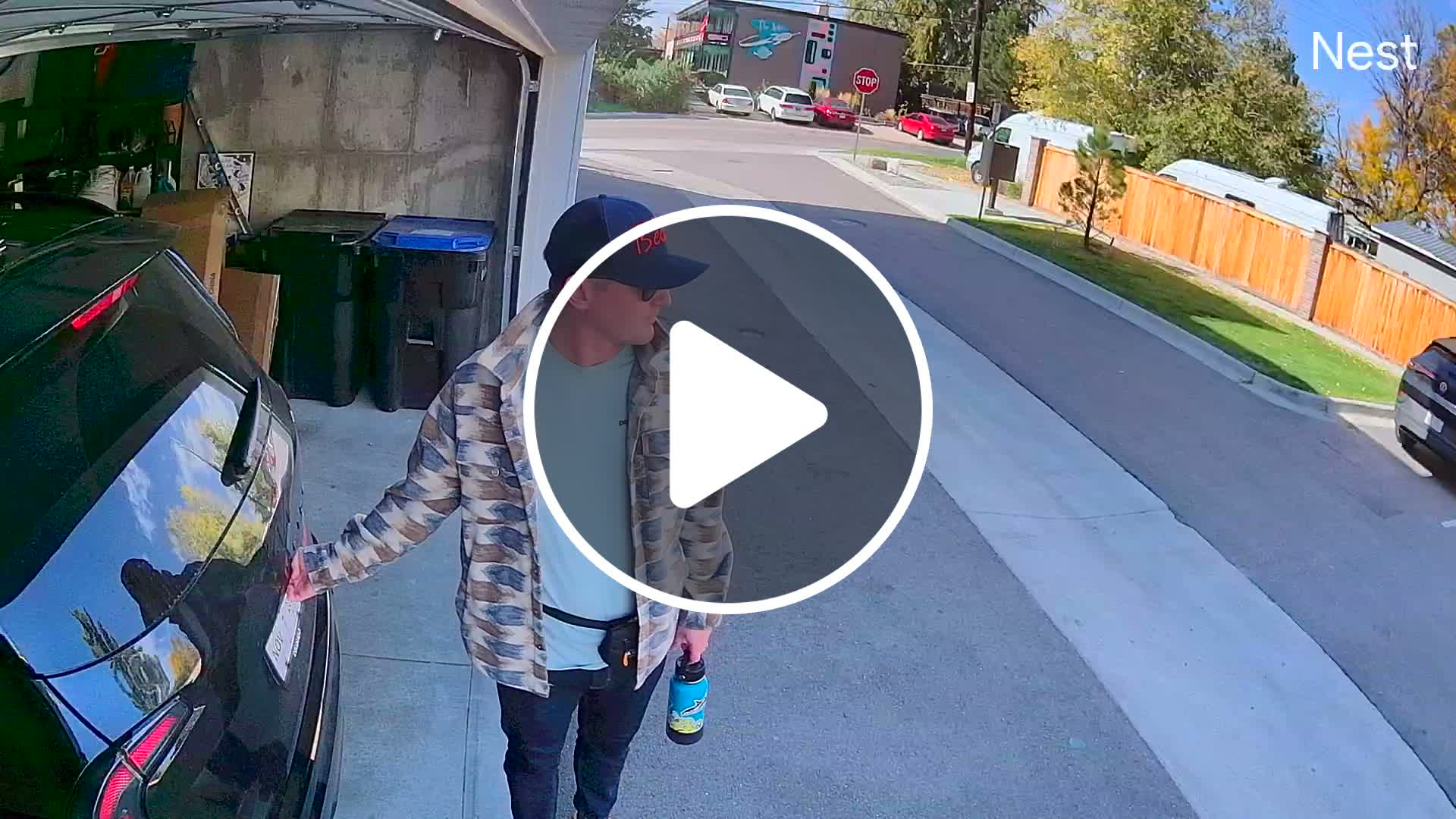 Dog leaps toward a closed trunk in imaginative play and gets saved ...