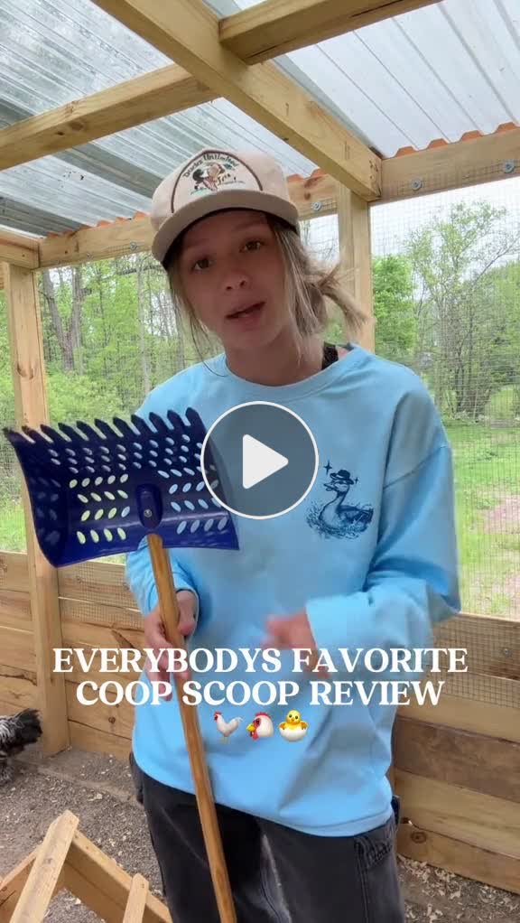 thumbnail image 2 of Chicken Coop Swing Chicken Swing Ladder & Rooster Perch | Wooden 2 of 10