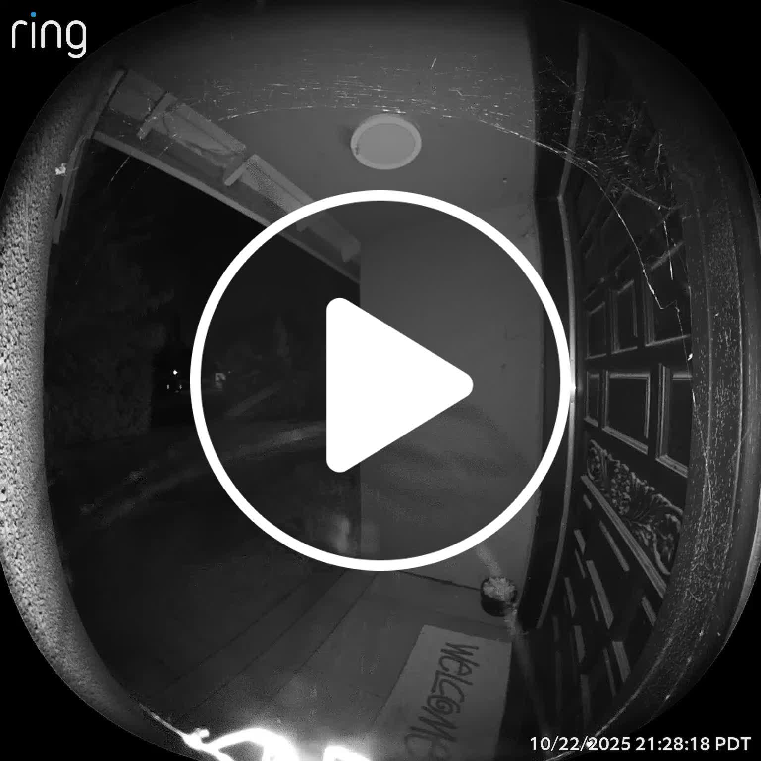 Spider Scared Off by Ring Camera - NewsBreak