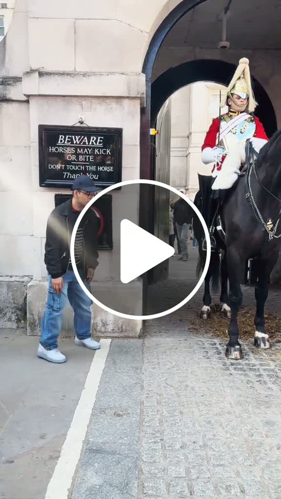 heart warming moment 💕#thekingguard #peterellis #horseguardsparade # ...