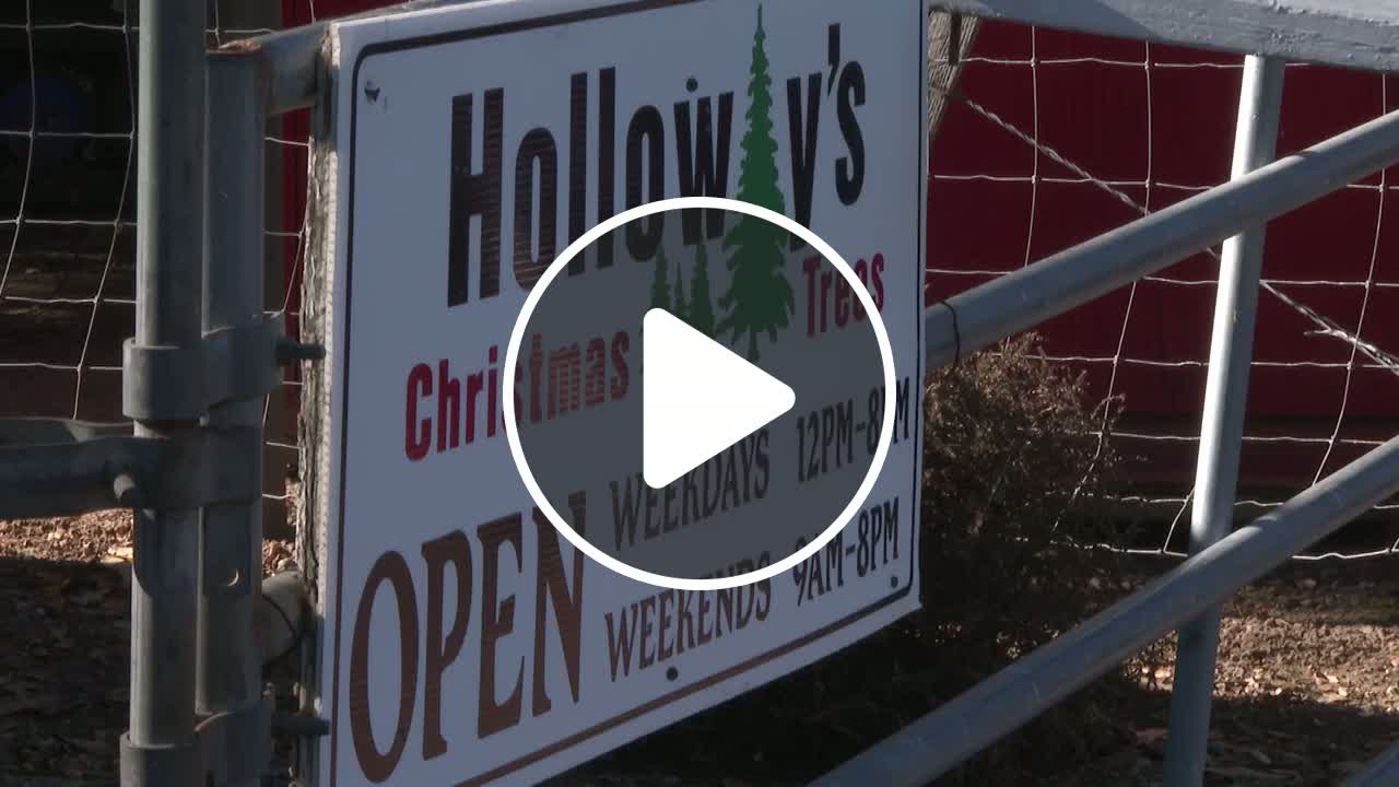 Holloway family opens its iconic tree farm to the public for final ...