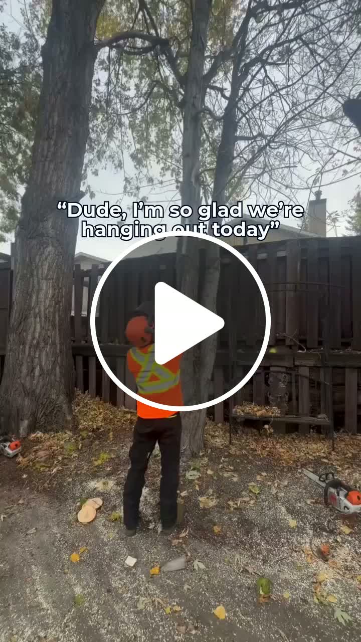 Wait for the end - NewsBreak