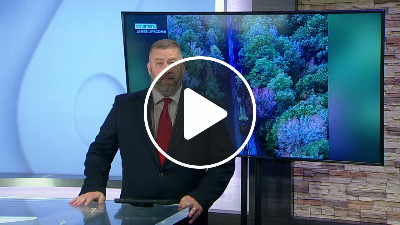 CSX train derails, sending 15 coal cars, 2 locomotives off tracks into ...