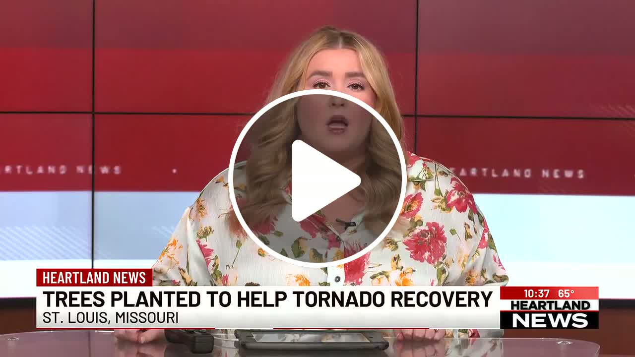 Man arrested for allegedly distributing obscene material at churches ...