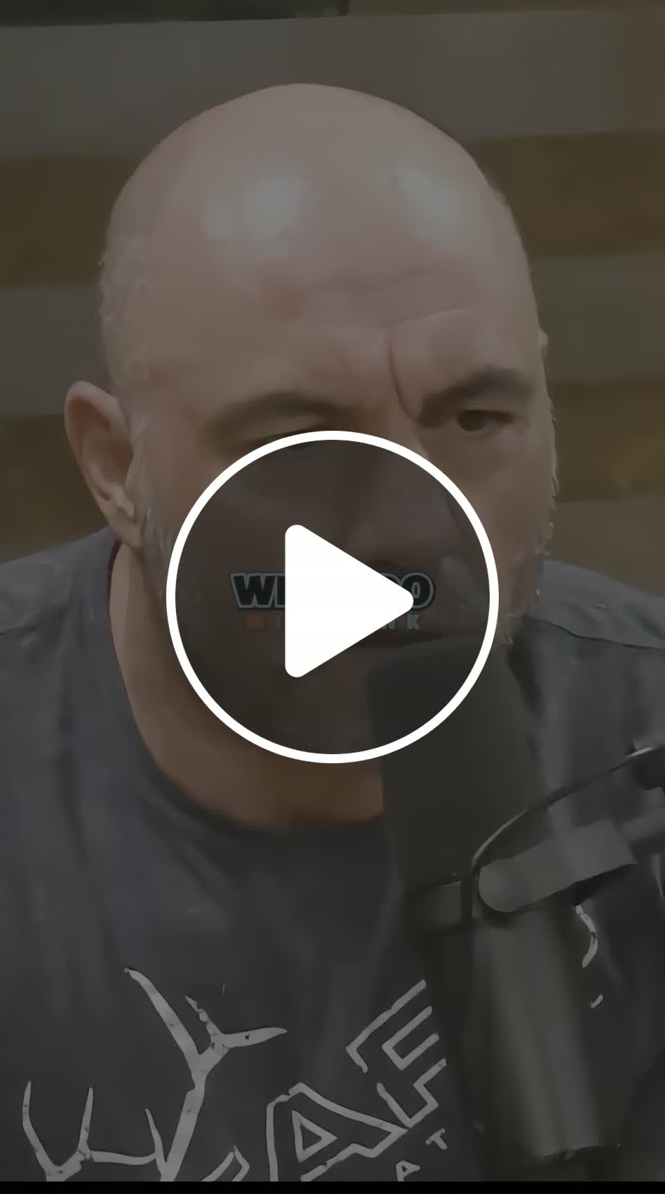 Joe Rogan Shares Best Food to Eat Before a Fight - NewsBreak