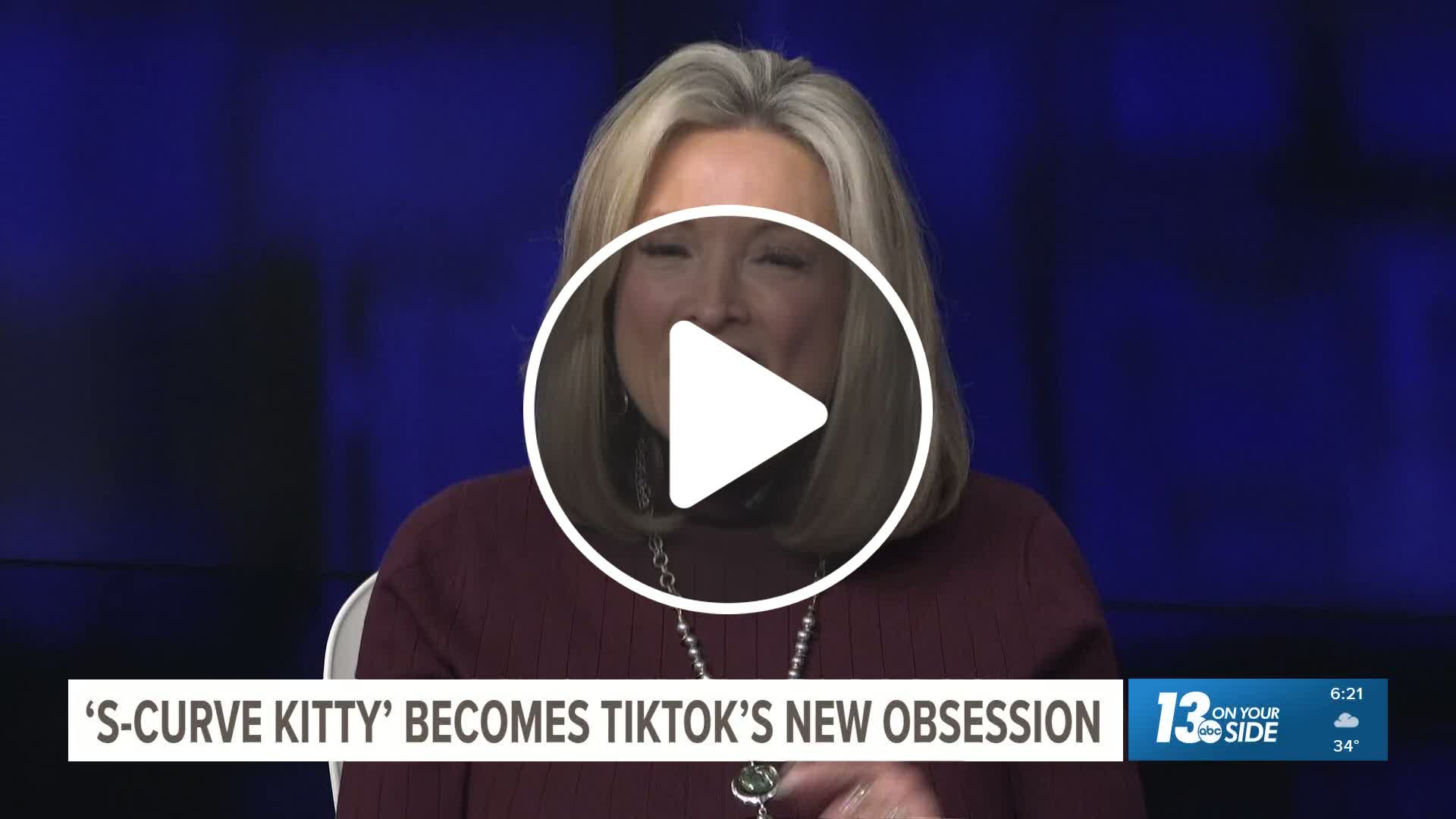 'SCurve Kitty' is TikTok's newest obsession NewsBreak