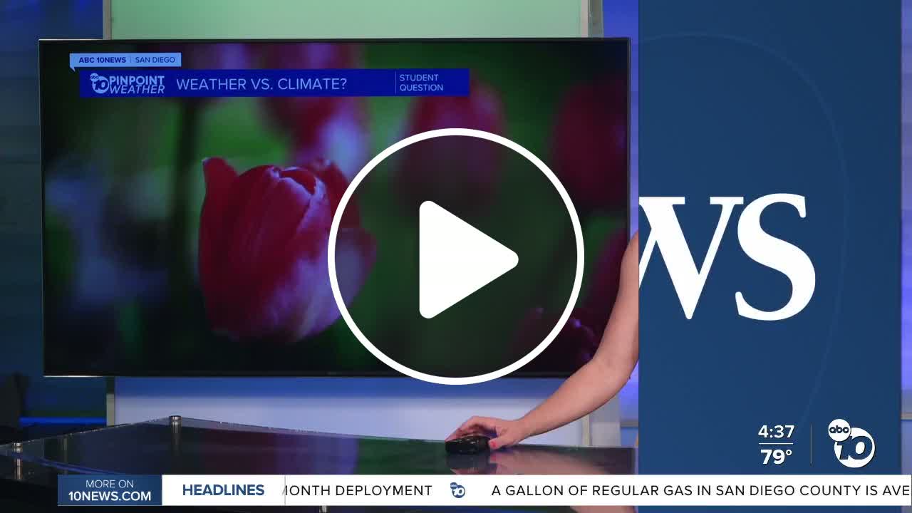Student Weather Question - Noemi - NewsBreak