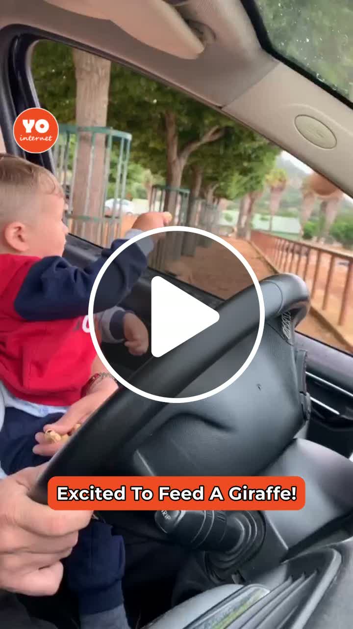 Child's Expression Changes Dramatically Upon Viewing Giraffe's Tongue ...
