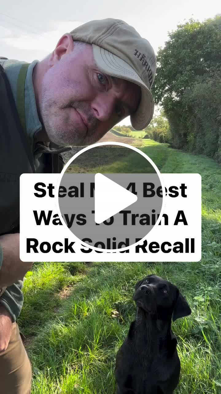Steal My 4 Best Ways To Train A Rock Solid Recall If your dog is ...