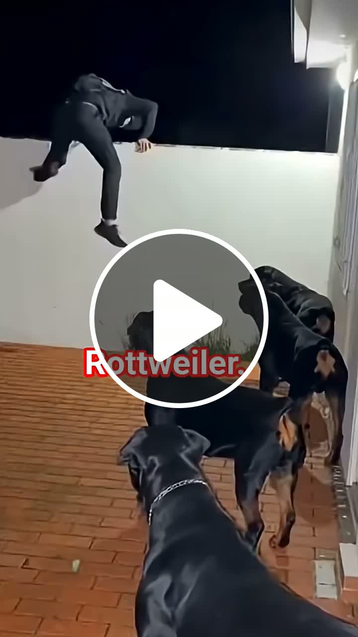 He was given the wrong address 😅 - NewsBreak