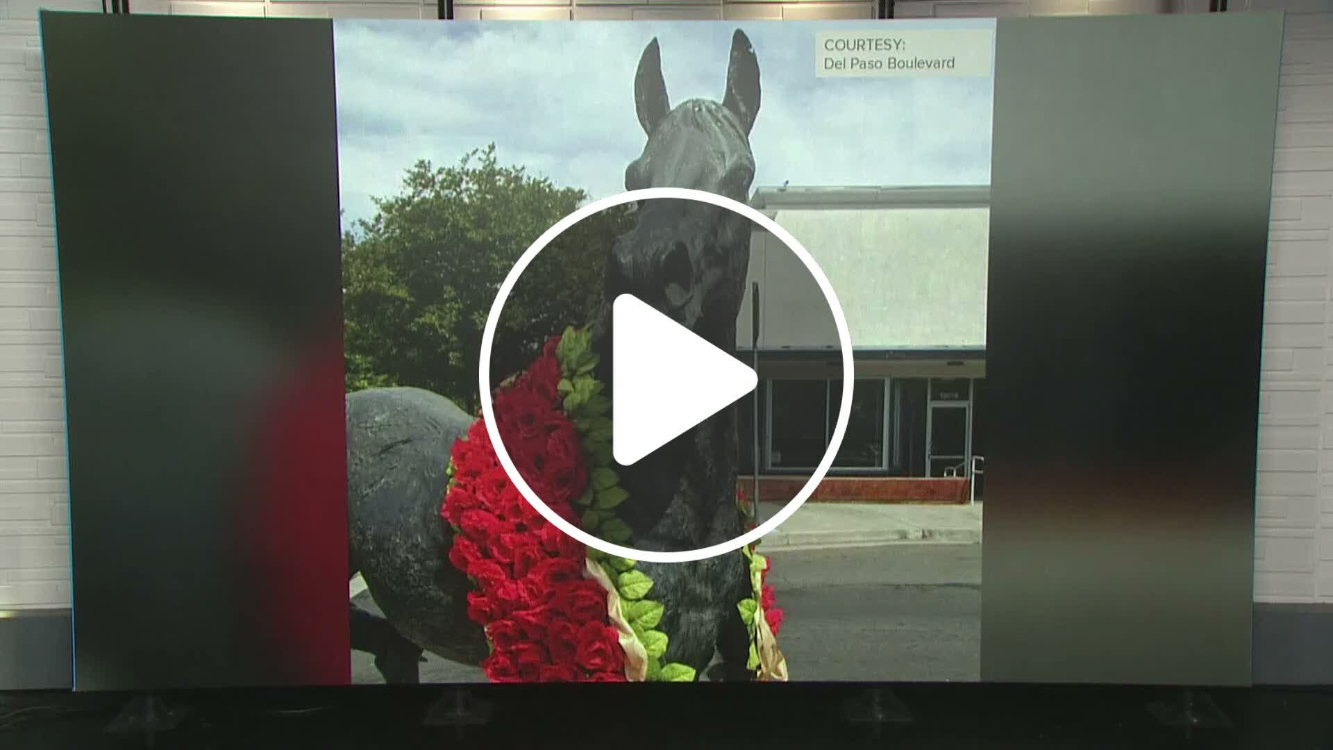 Bronze Ben Ali horse statue stolen from Del Paso Boulevard in ...