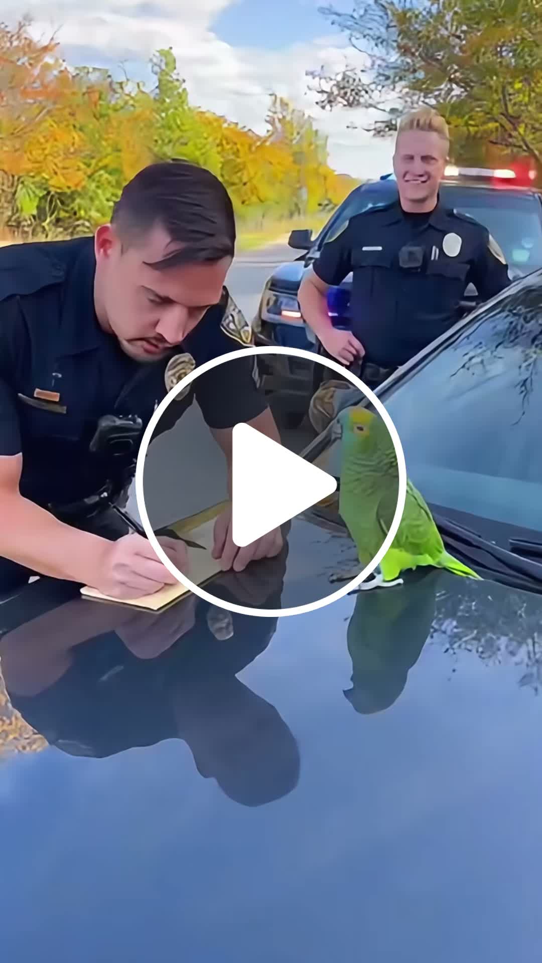 Parrot Roasts a Cop! - NewsBreak