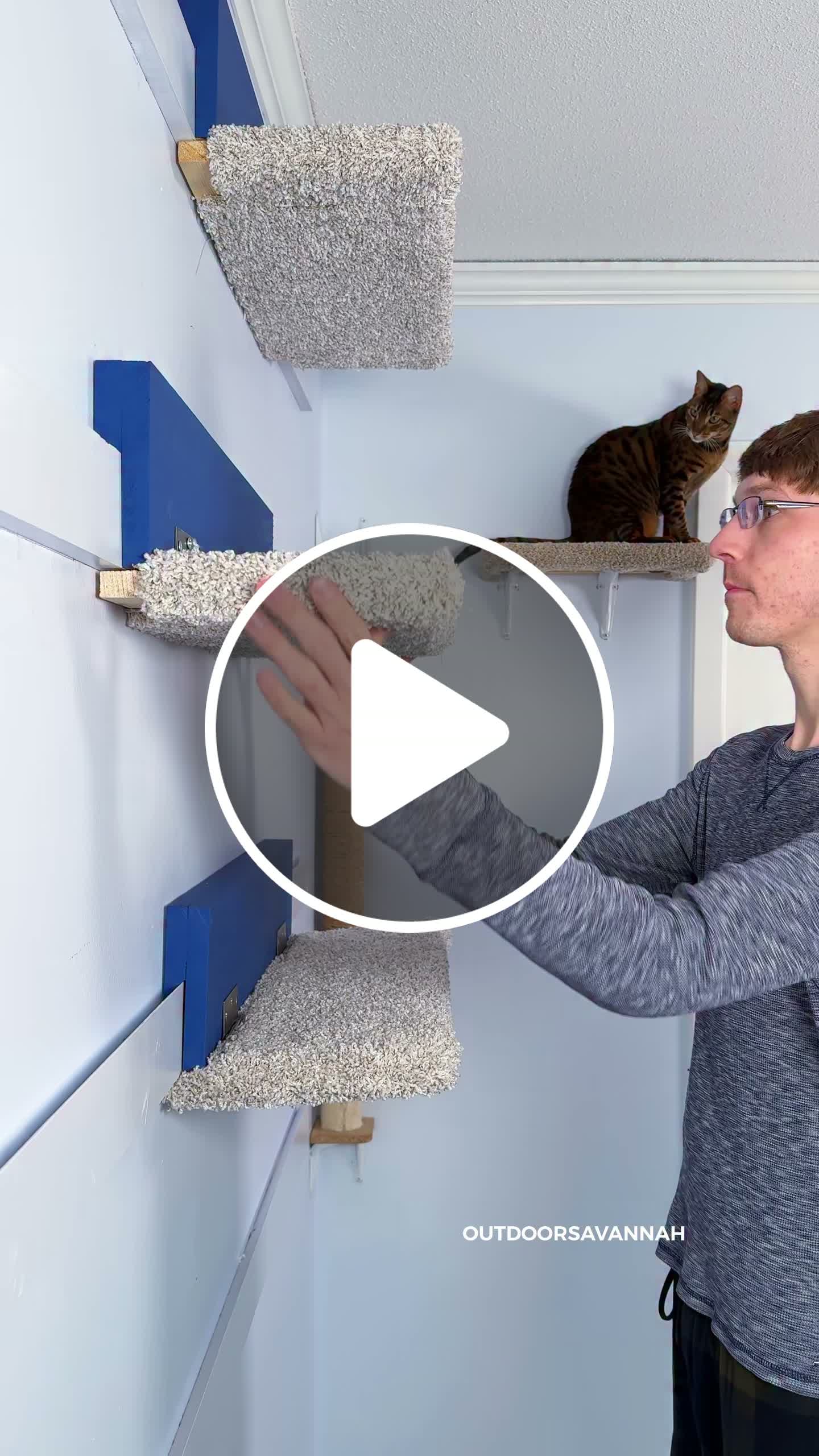 Modular Cat Wall design using French cleats to hang cat shelves and cat ...