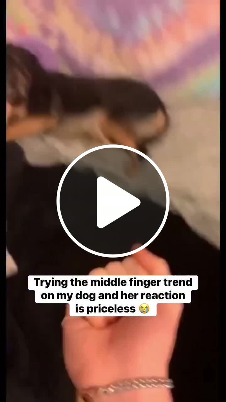 I almost lost my finger when trying the middle finger trend on my dog ...