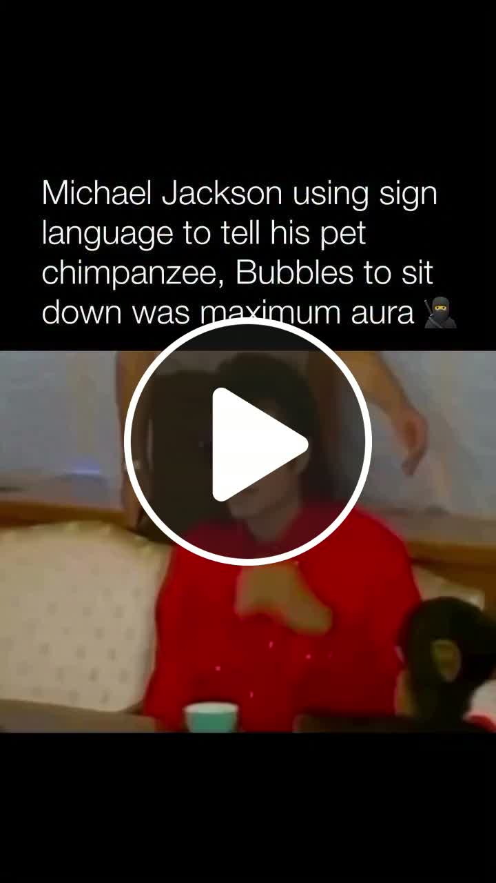 Michael Jackson using sign language to tell his pet to sit down - NewsBreak