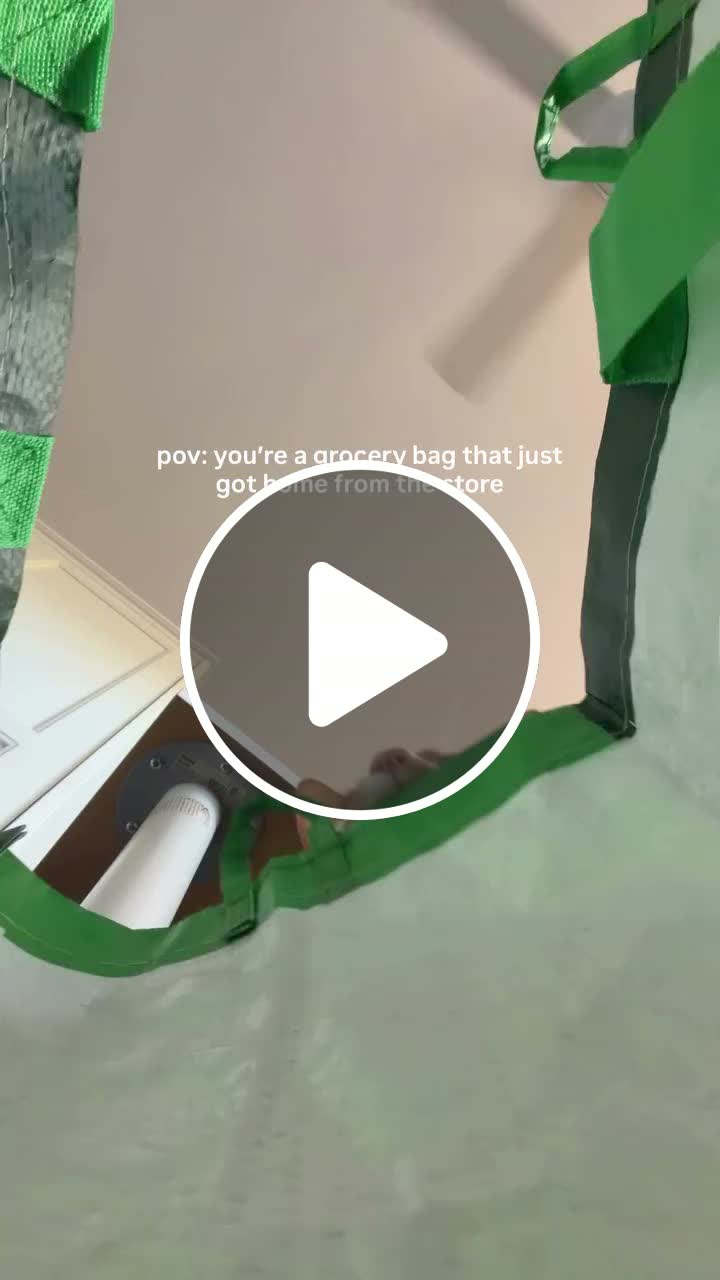 Mandatory inspection 😺🤣 - NewsBreak