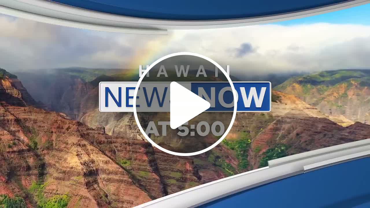 Maui police investigate alleged attack against tourists on Road to Hana ...