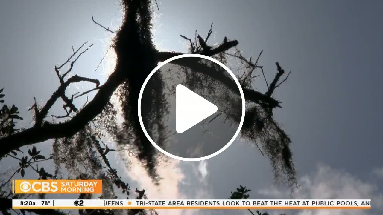 ZOHRAN MAMDANI TWITTER VENEZUELA visual data 5