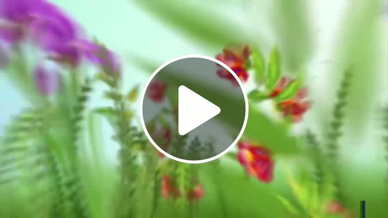 Larsa Pippen claps back at wild rumors about Dennis Rodman Jr.—setting ...