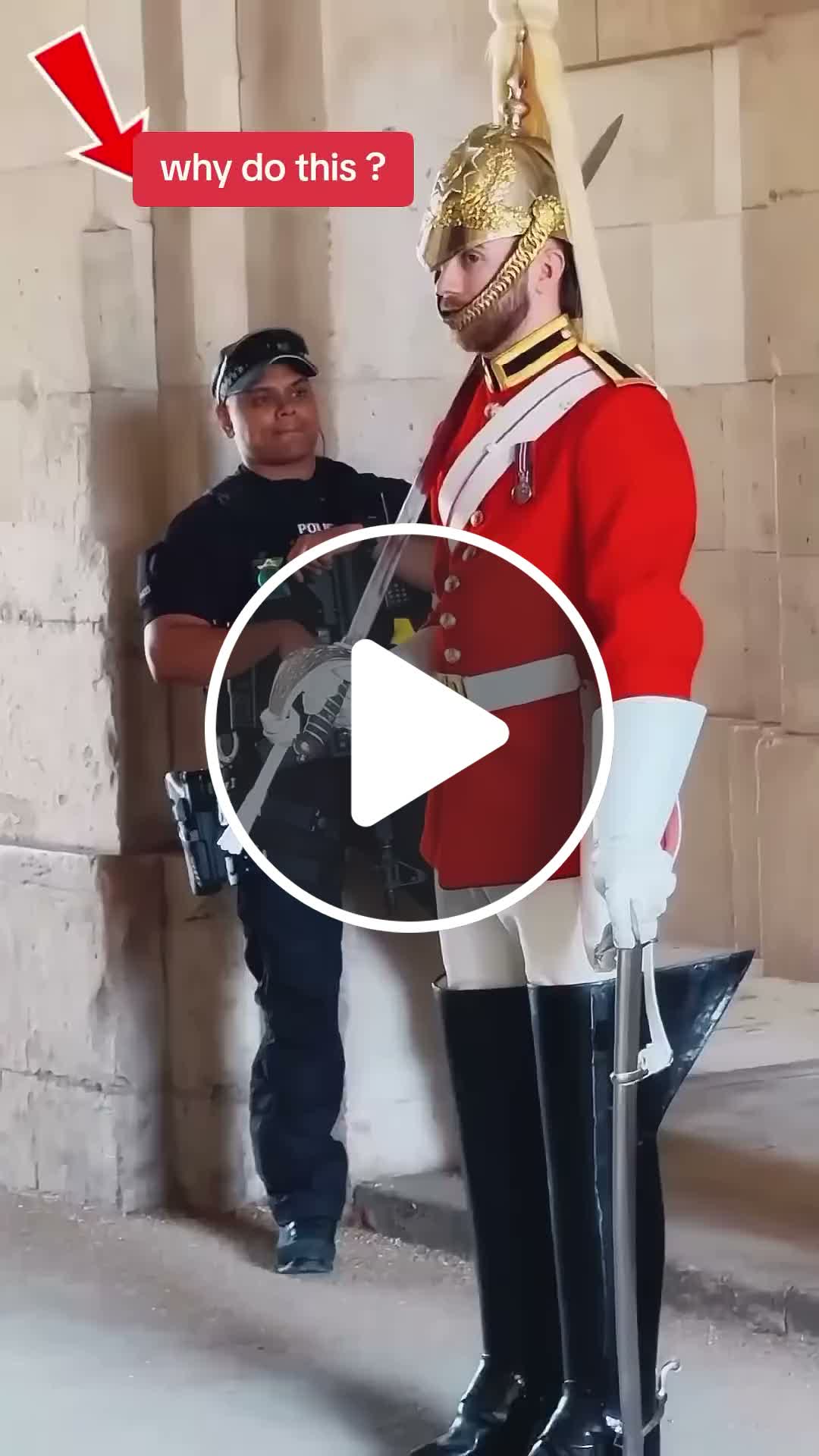 Respect 🙏 #horseguardsparade #peterellis #kingsguard #buckinghampalace ...