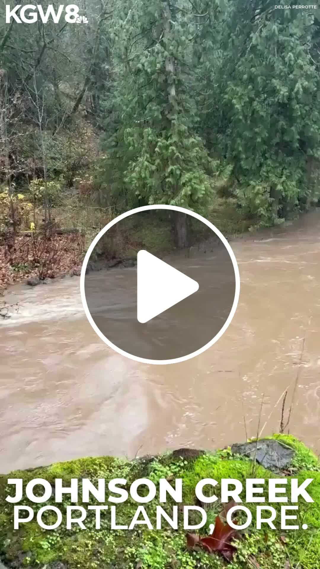 Oregon rivers swell after atmospheric river brings heavy rain - NewsBreak