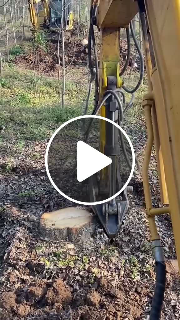 Easiest way to remove a tree stump - NewsBreak