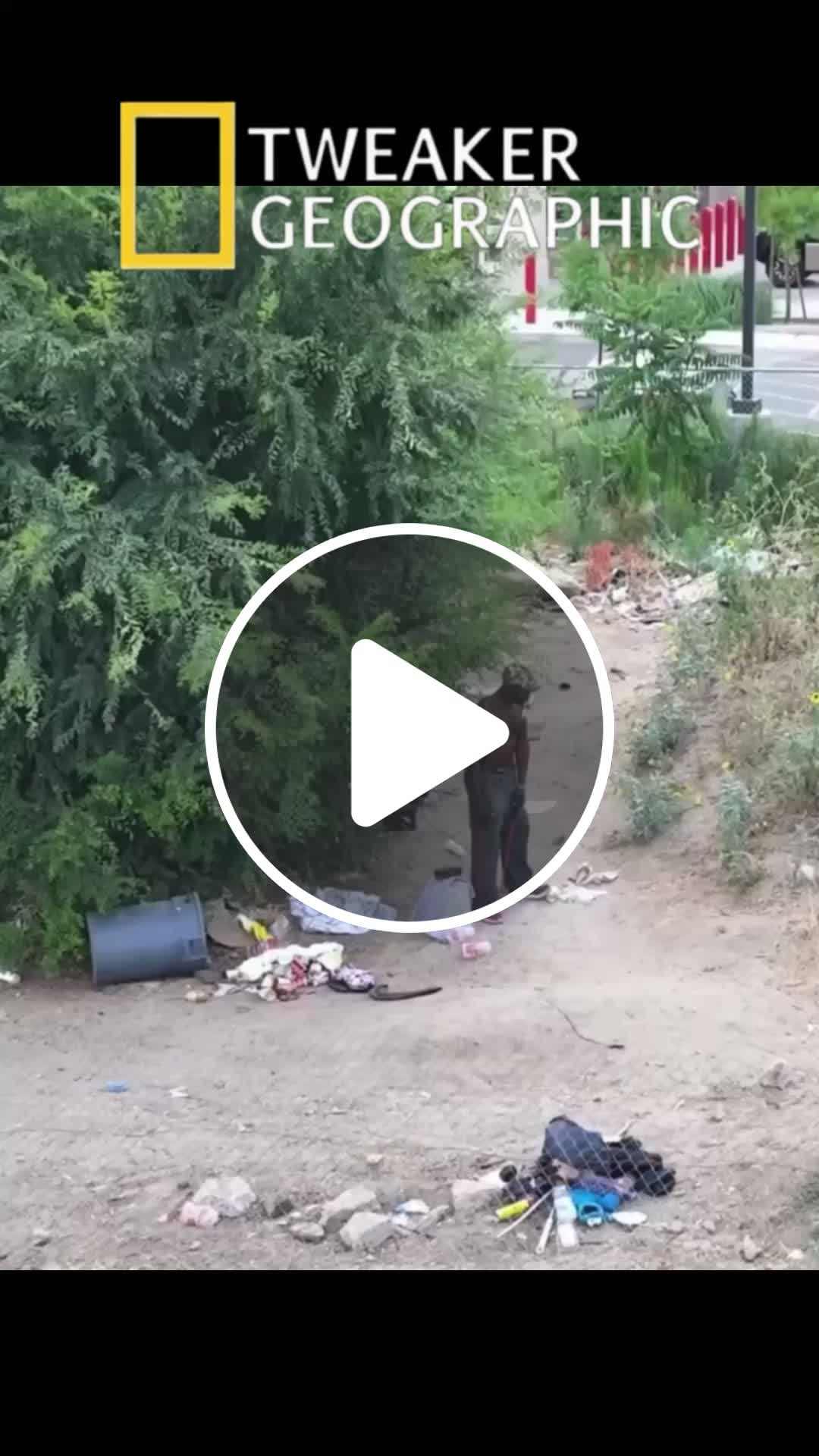 Tweaker Geographic: Tweaker Olympics Training - NewsBreak
