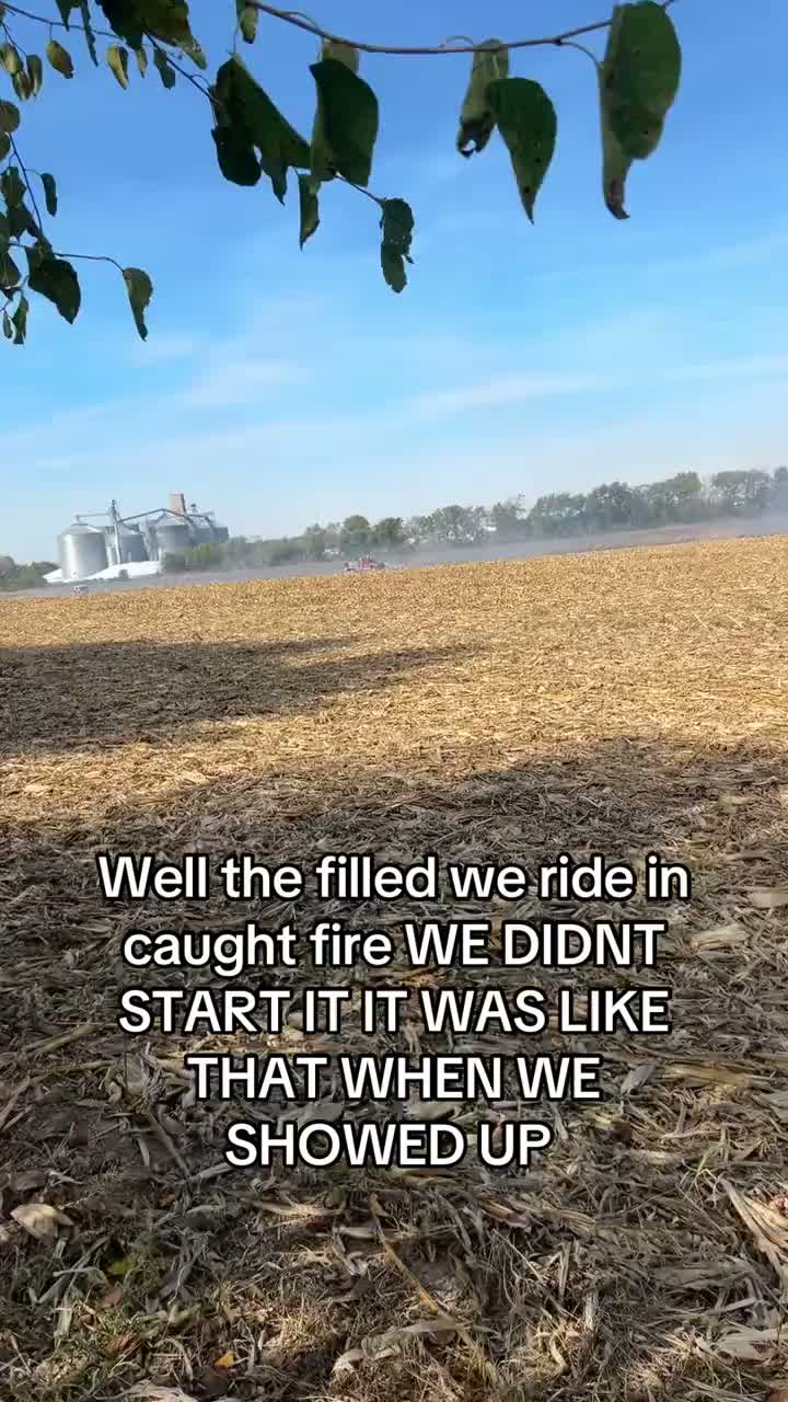 Post video preview