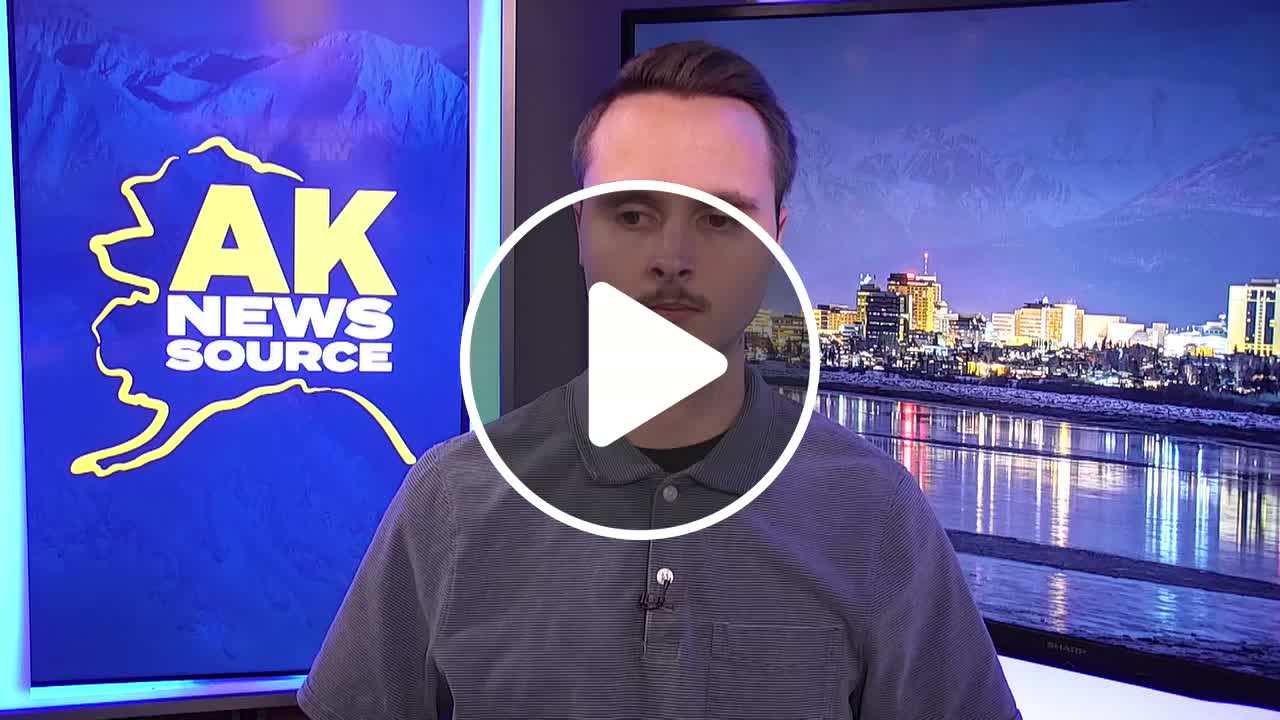 Black bear that wandered into JBER was killed, Fish & Game confirms ...