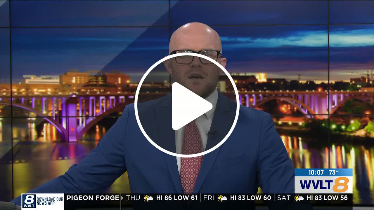 Kylie Roberto Foster Fund accepting donations to help kittens - NewsBreak