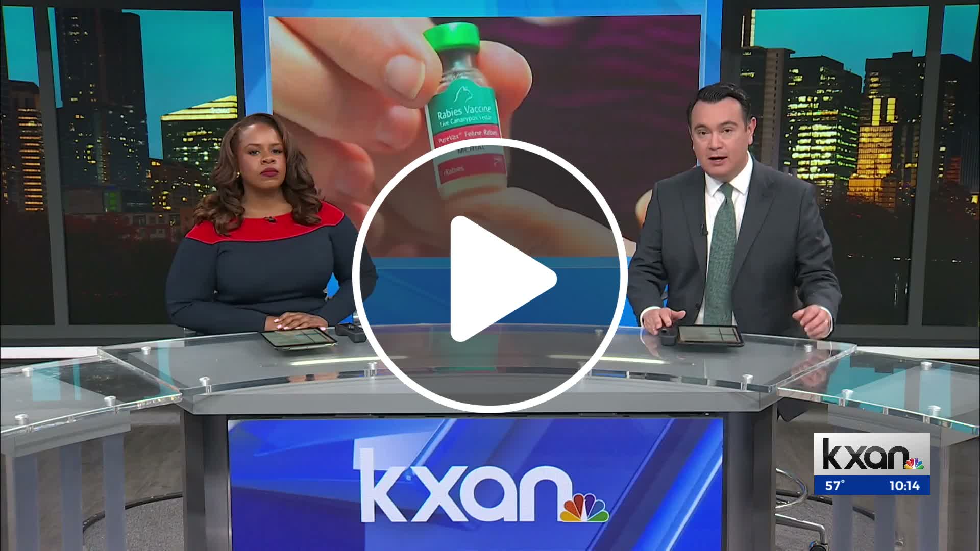 Hays County woman recovering after rabid fox attack in her front yard ...