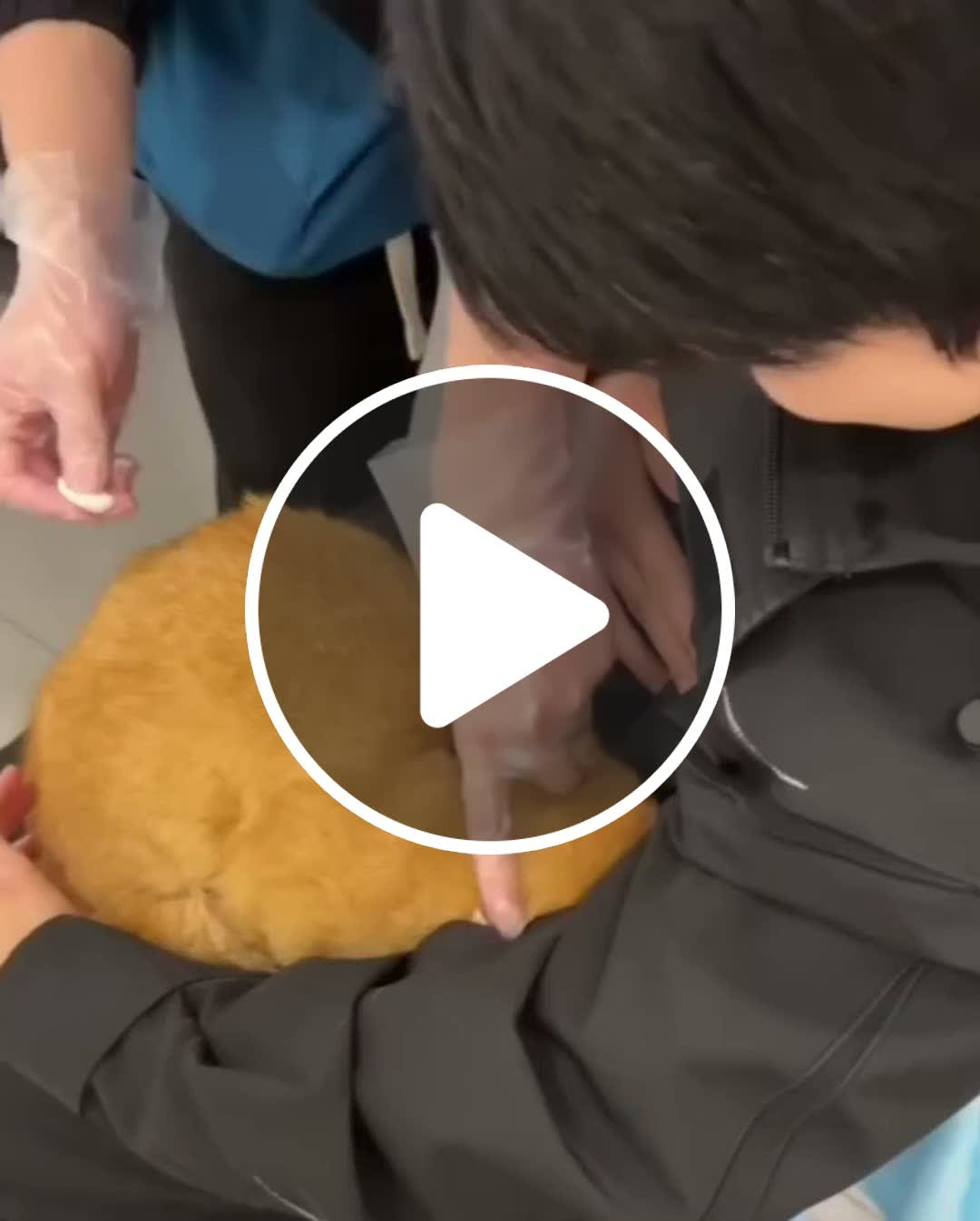 He deserves all treats in the world - NewsBreak