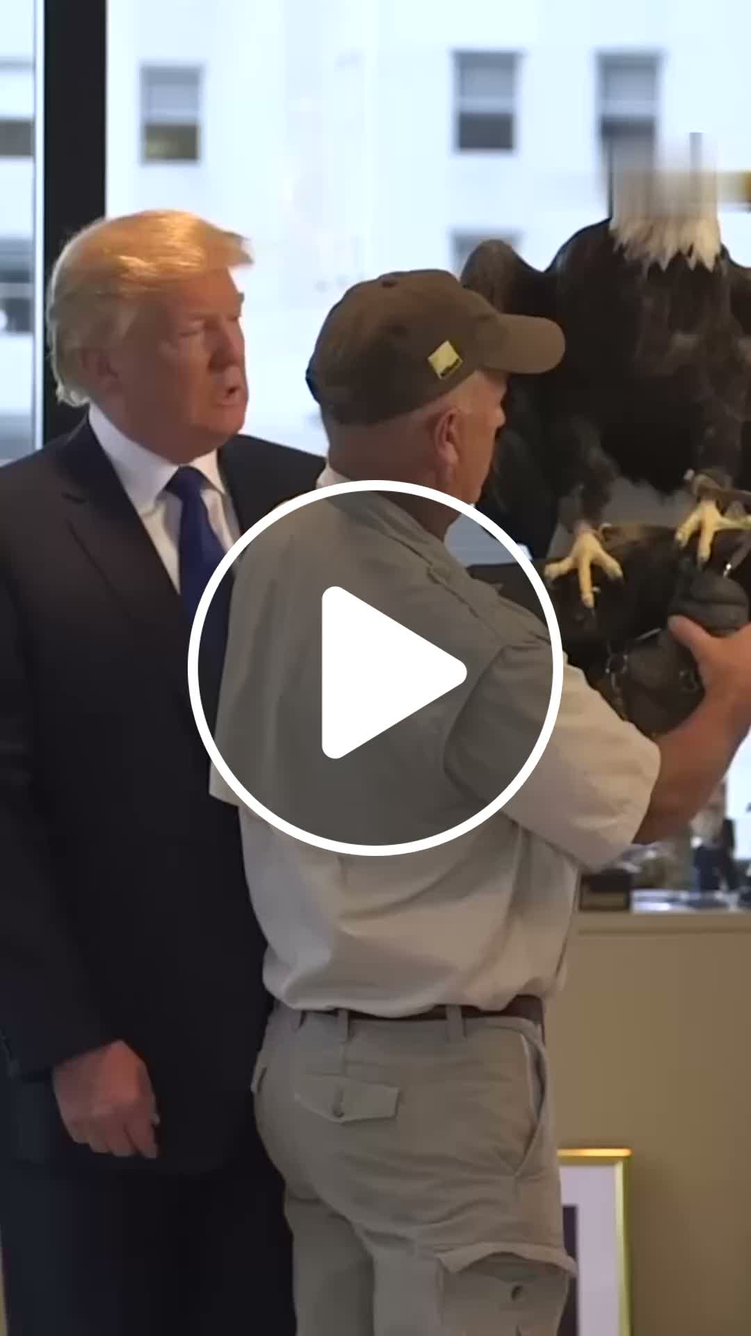 A bald eagle ruined Donald Trump's photo shoot - NewsBreak