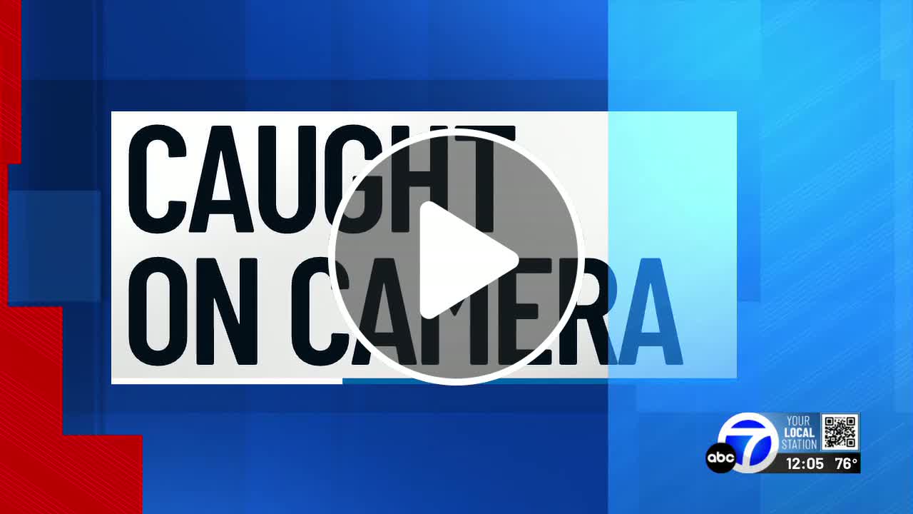 High-speed chase ends in Sarasota with multiple charges, two damaged ...
