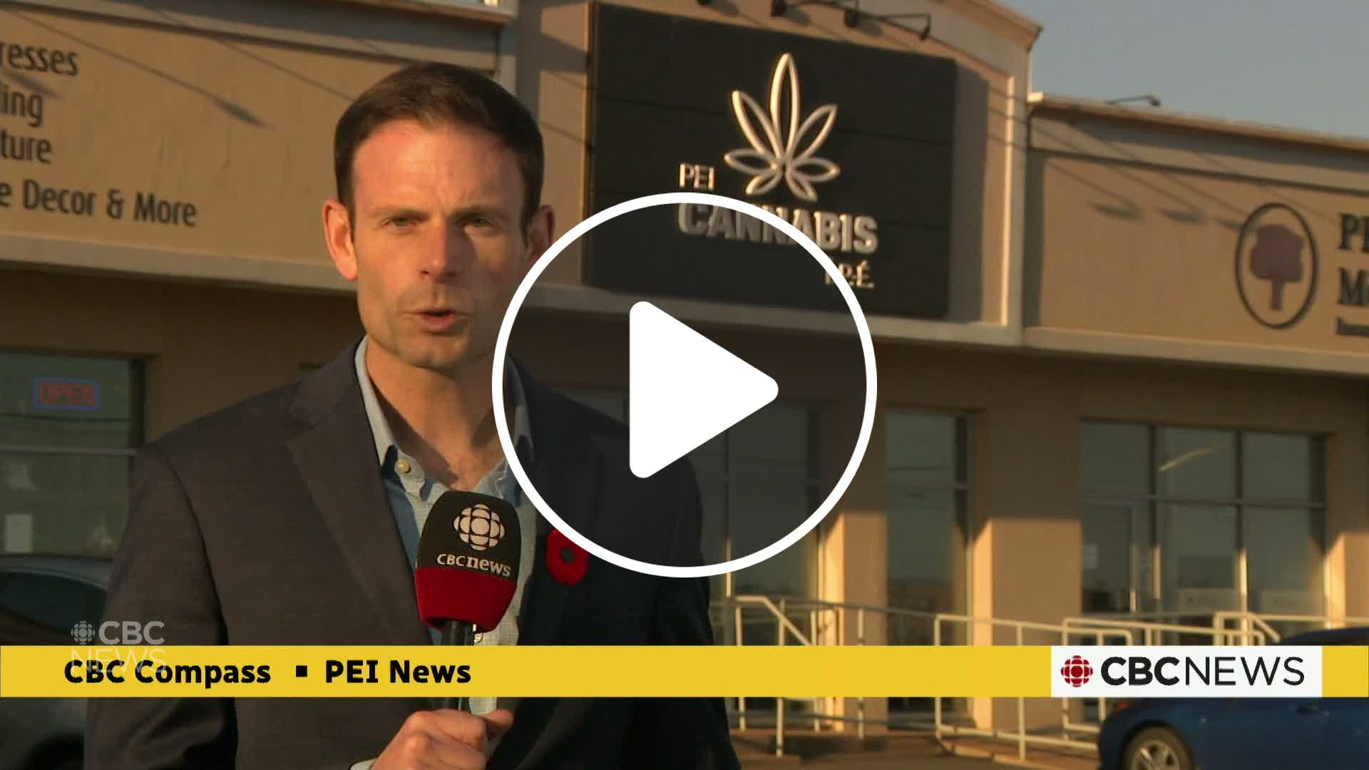 Charlottetown's interim police chief fined for buying cannabis from ...