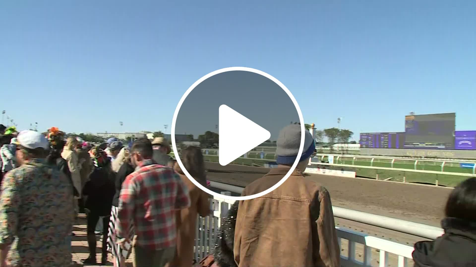 Thanksgiving Fun in NOLA: Classic Horse Race & Human Horse Race in New ...