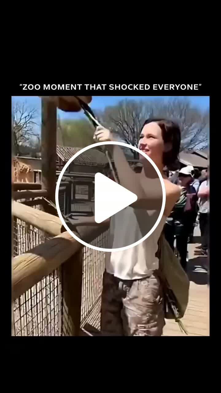 zoo moments that shocked everyone. NewsBreak(02)