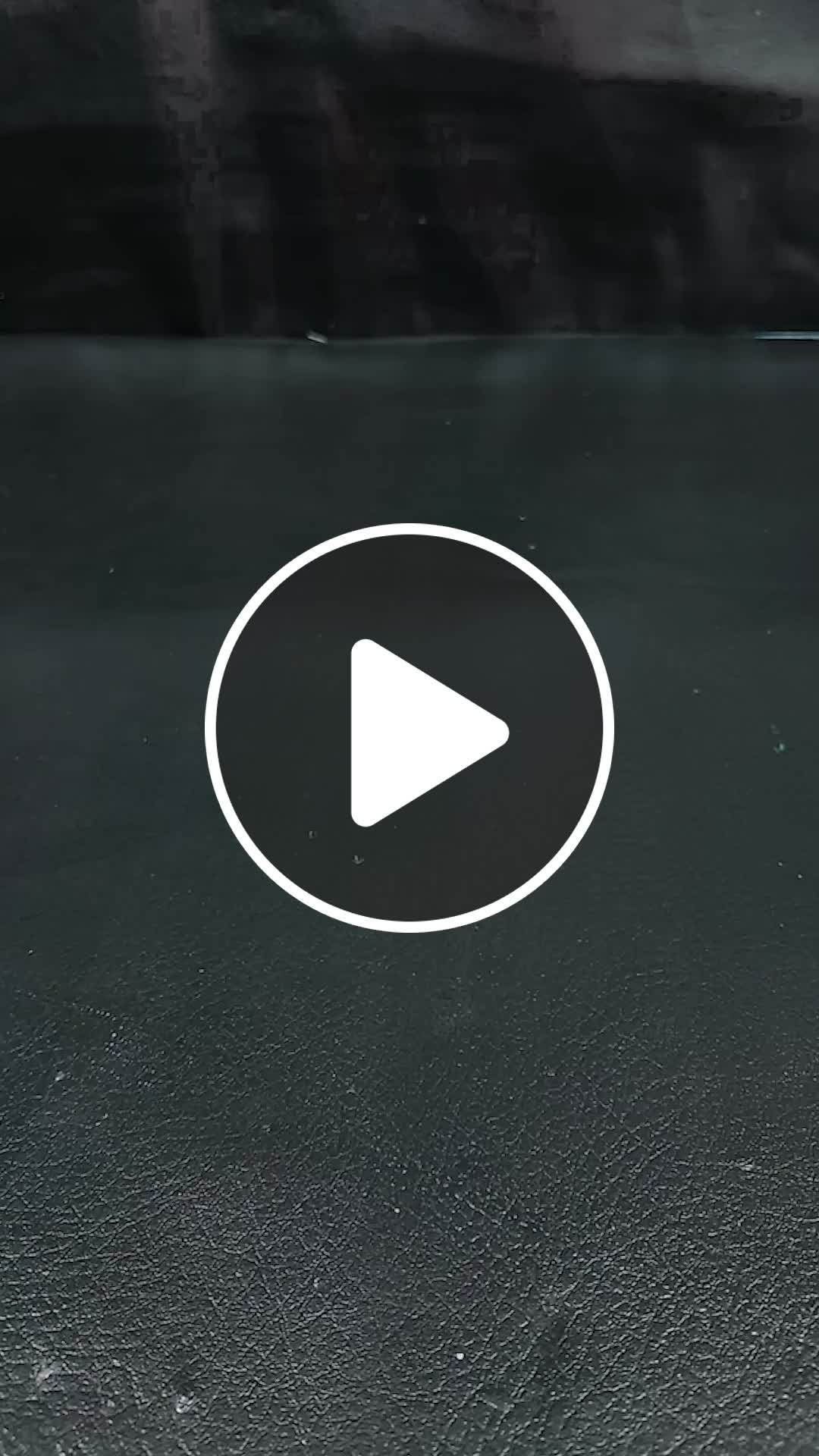 Stem turn into flower plant How to growing crown of thorn flower plant ...