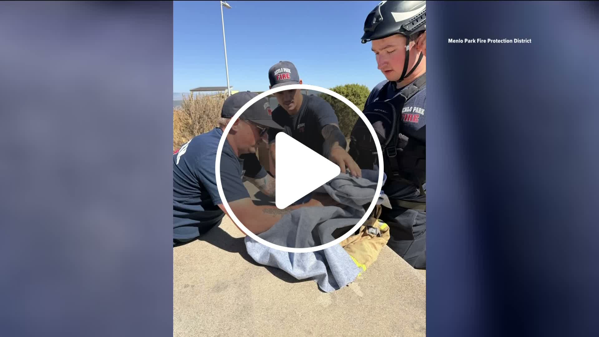 Dog missing for nearly two weeks rescued from San Francisco Bay