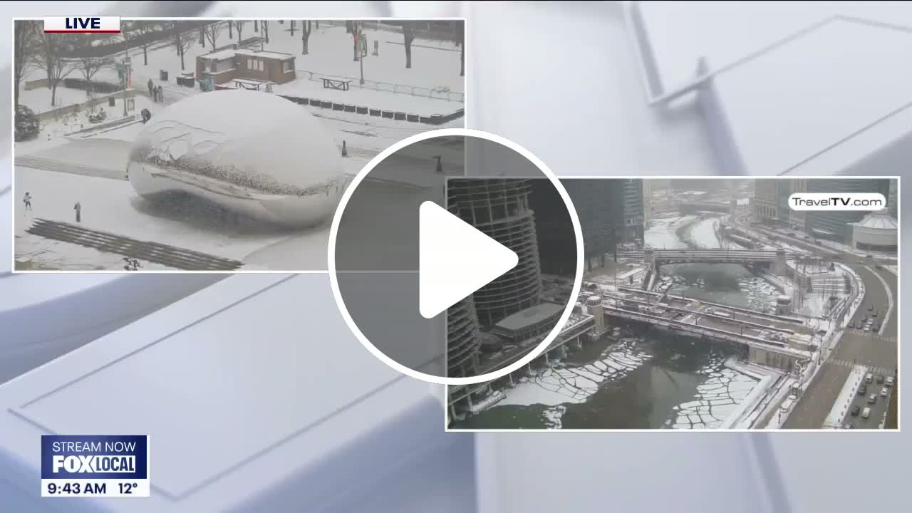 Bach to Rock students take the stage with high-energy 'Bach-A-Palooza ...