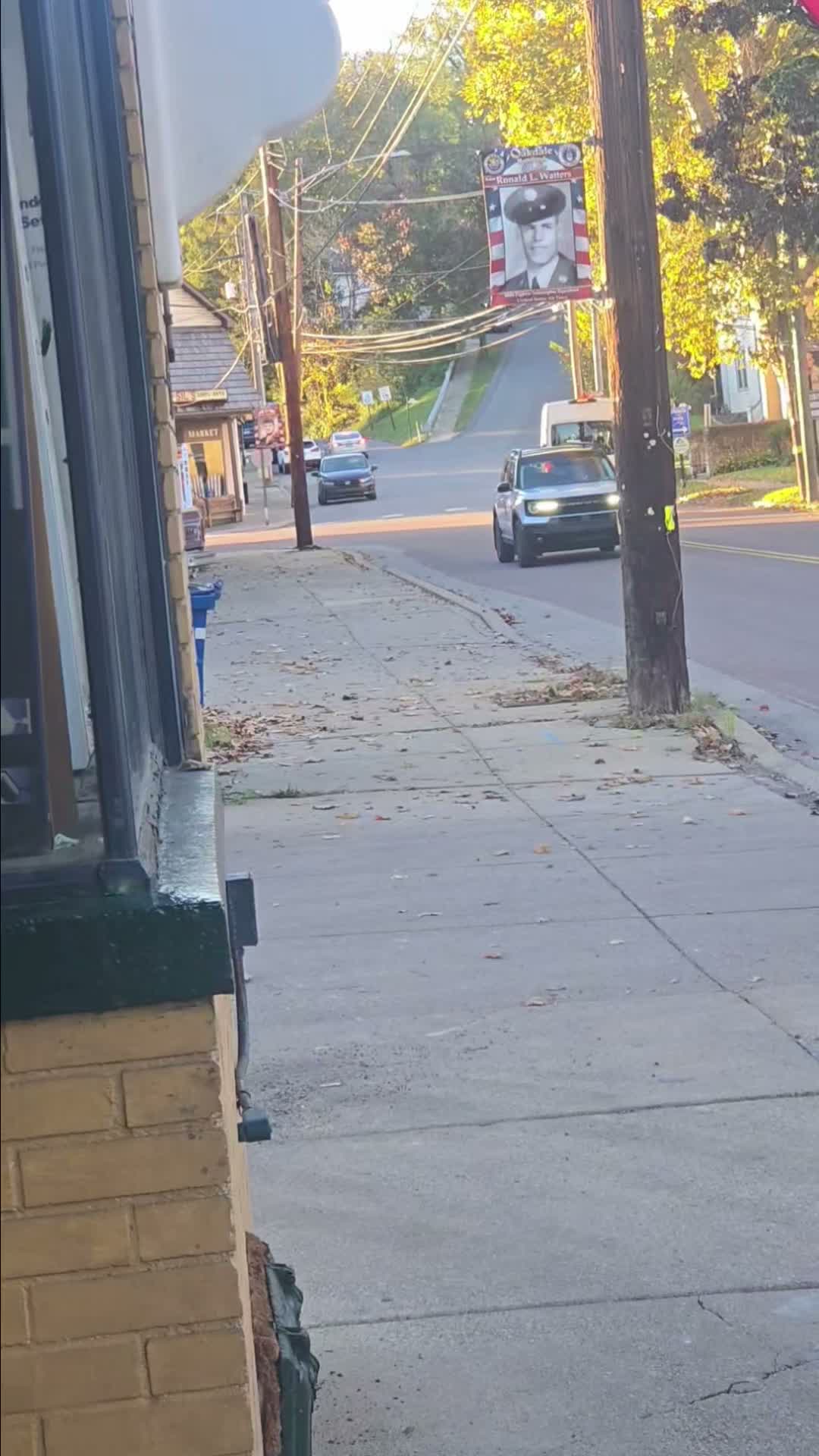 Post video preview