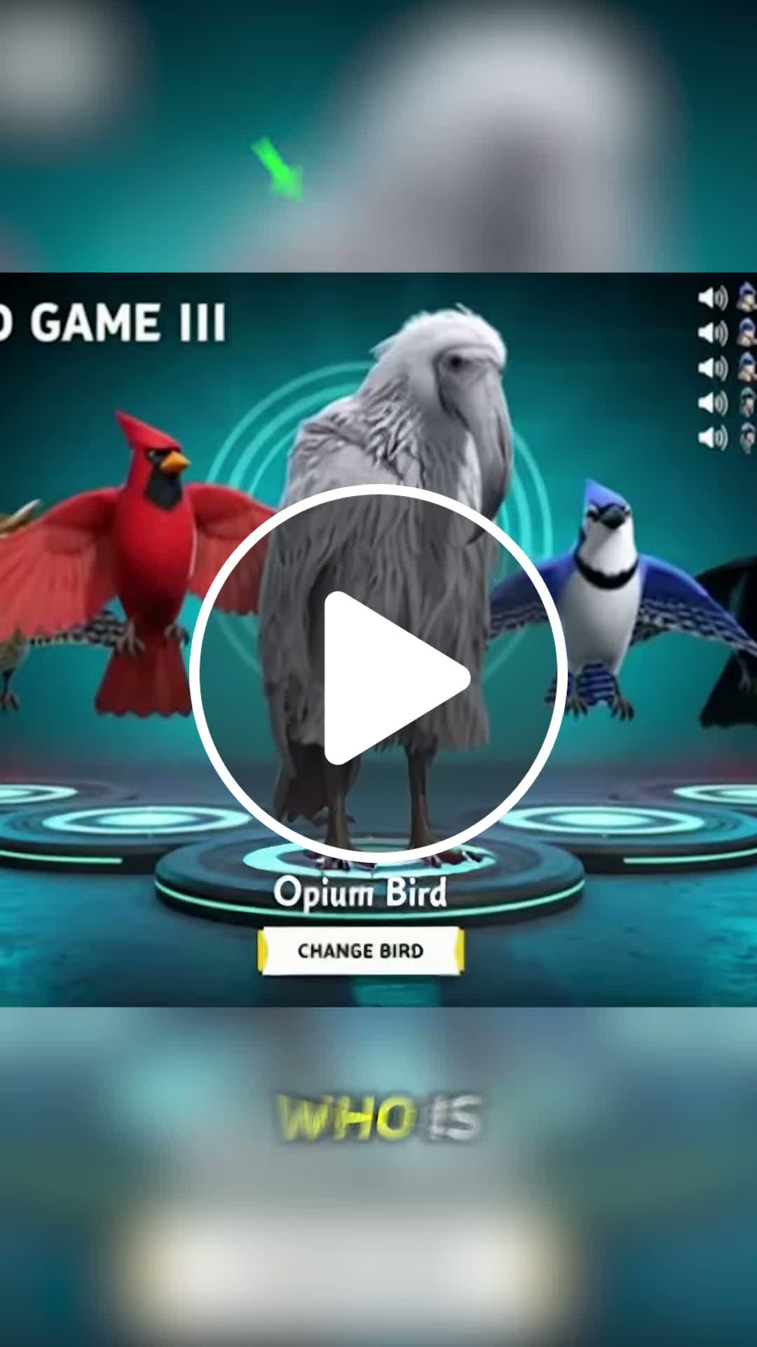 Where To Play Bird Game 3