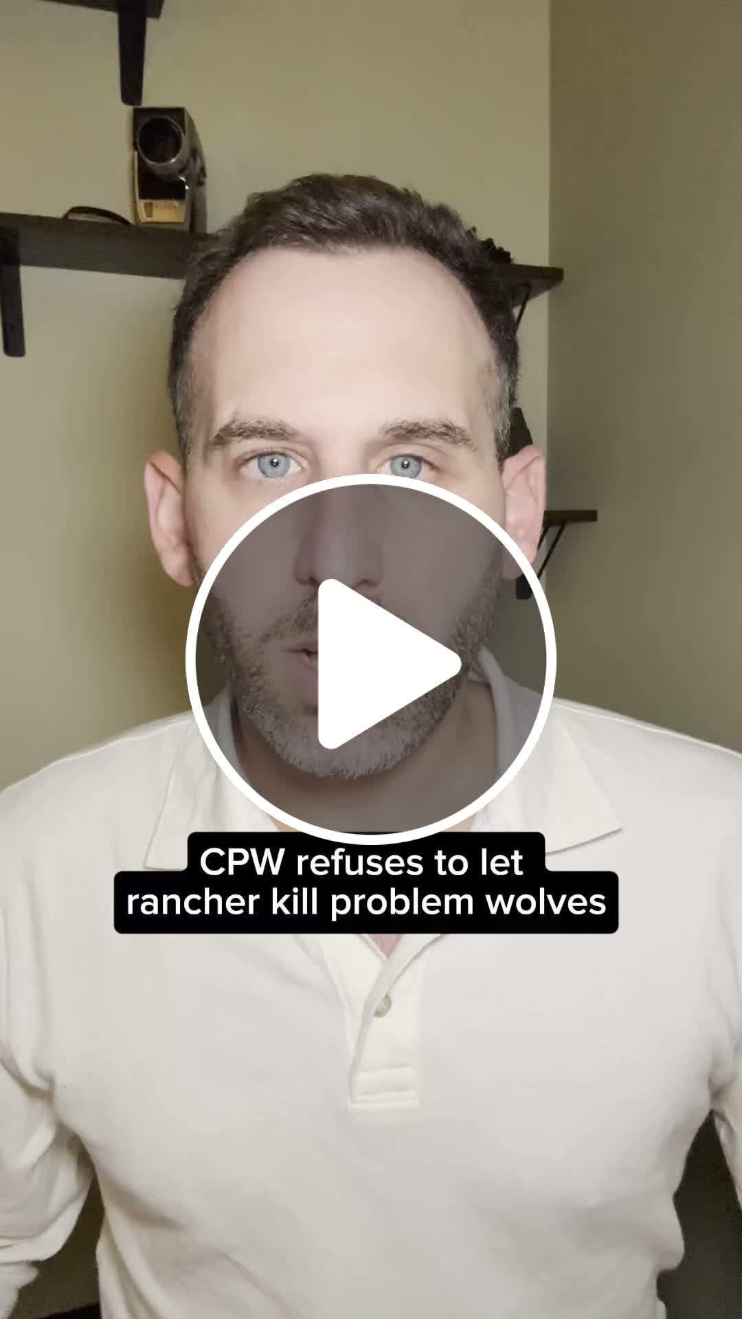 Rancher’s request to kill problem wolf denied - NewsBreak