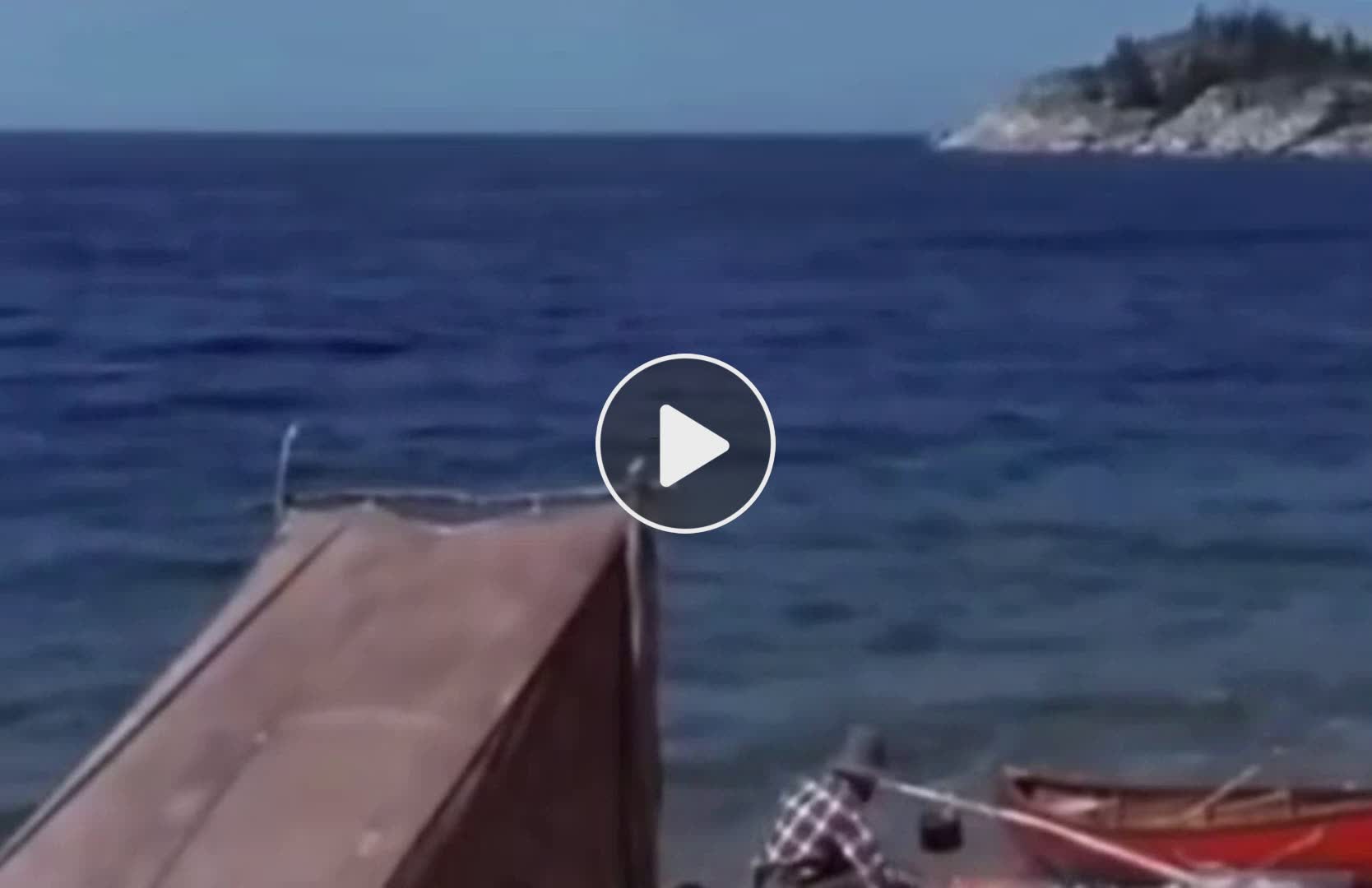 When you eat the wrong Mushroom. - NewsBreak