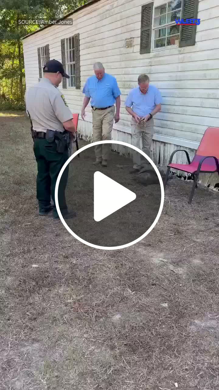 WATCH: Sheriff, deputies remove alligator snapping turtle from local ...