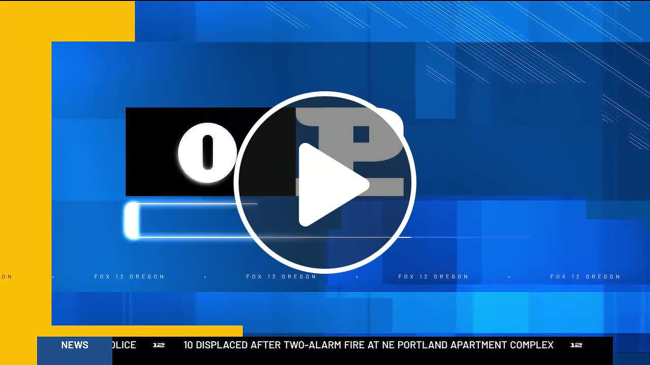 Pilot dead after small plane crash near Newberg - NewsBreak