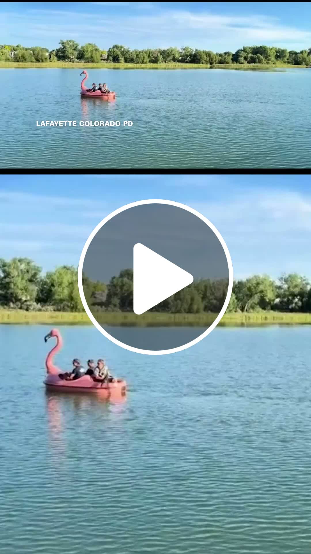 Firefighters on a flamingo float rescue turtle stuck on fishing line ...