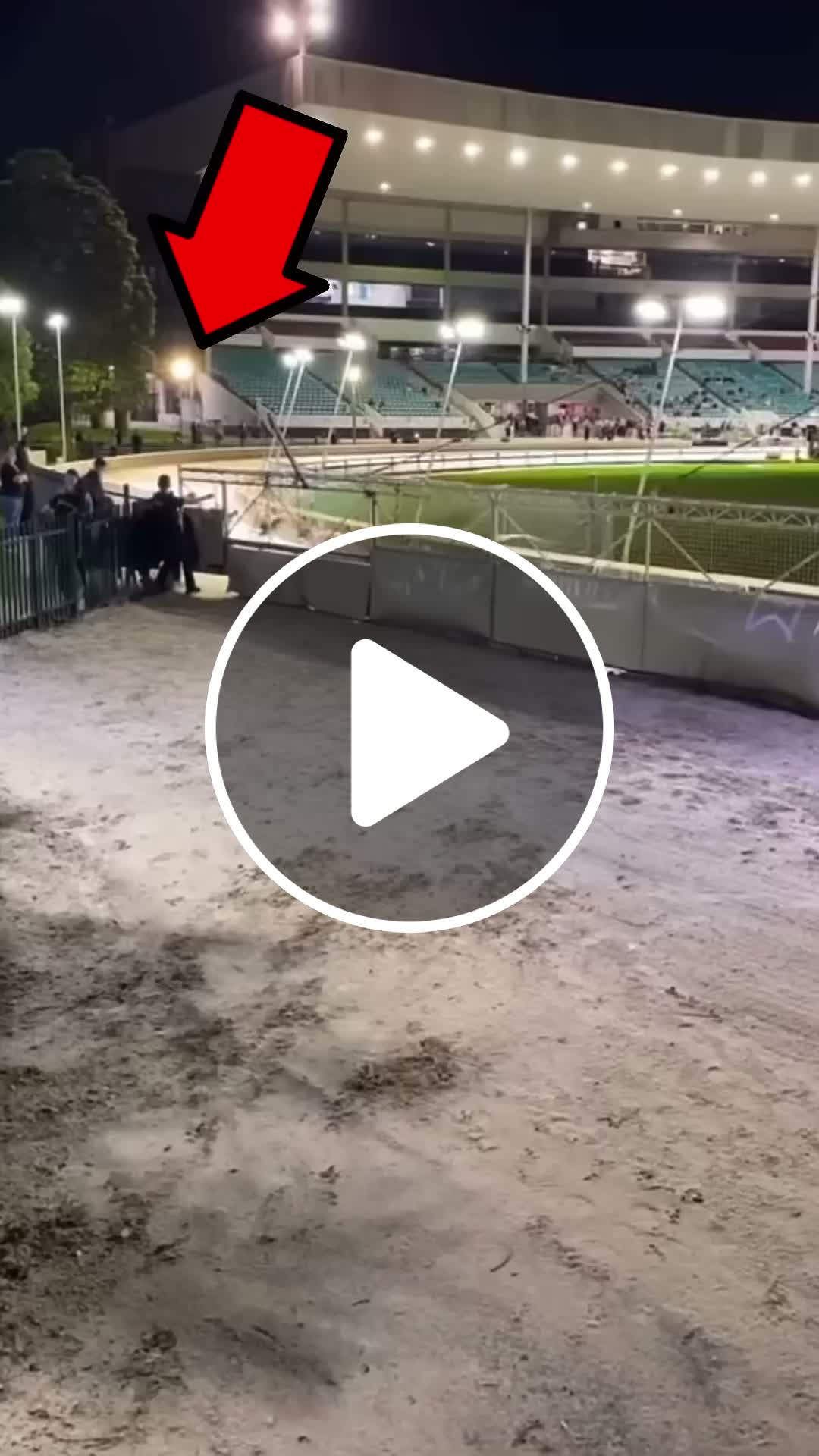 Greyhound Race Track 🐶😱 - NewsBreak