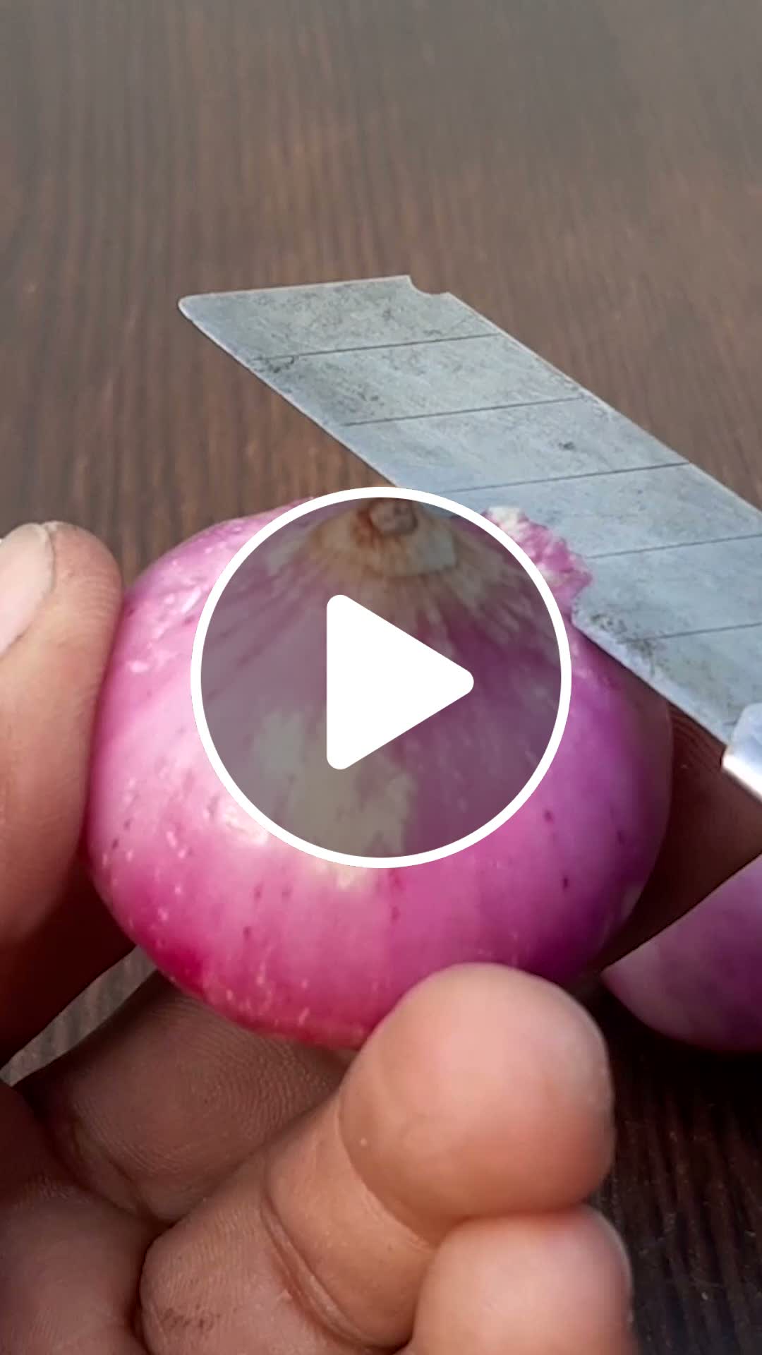 How to grow grape plant at home from fruit Best & easy for gardening # ...