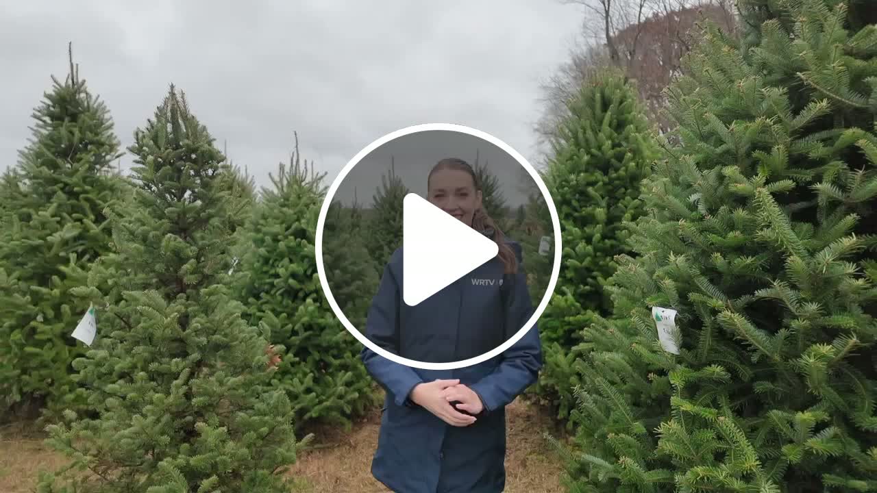 Mooresville tree farm continues holiday legacy under new generation ...